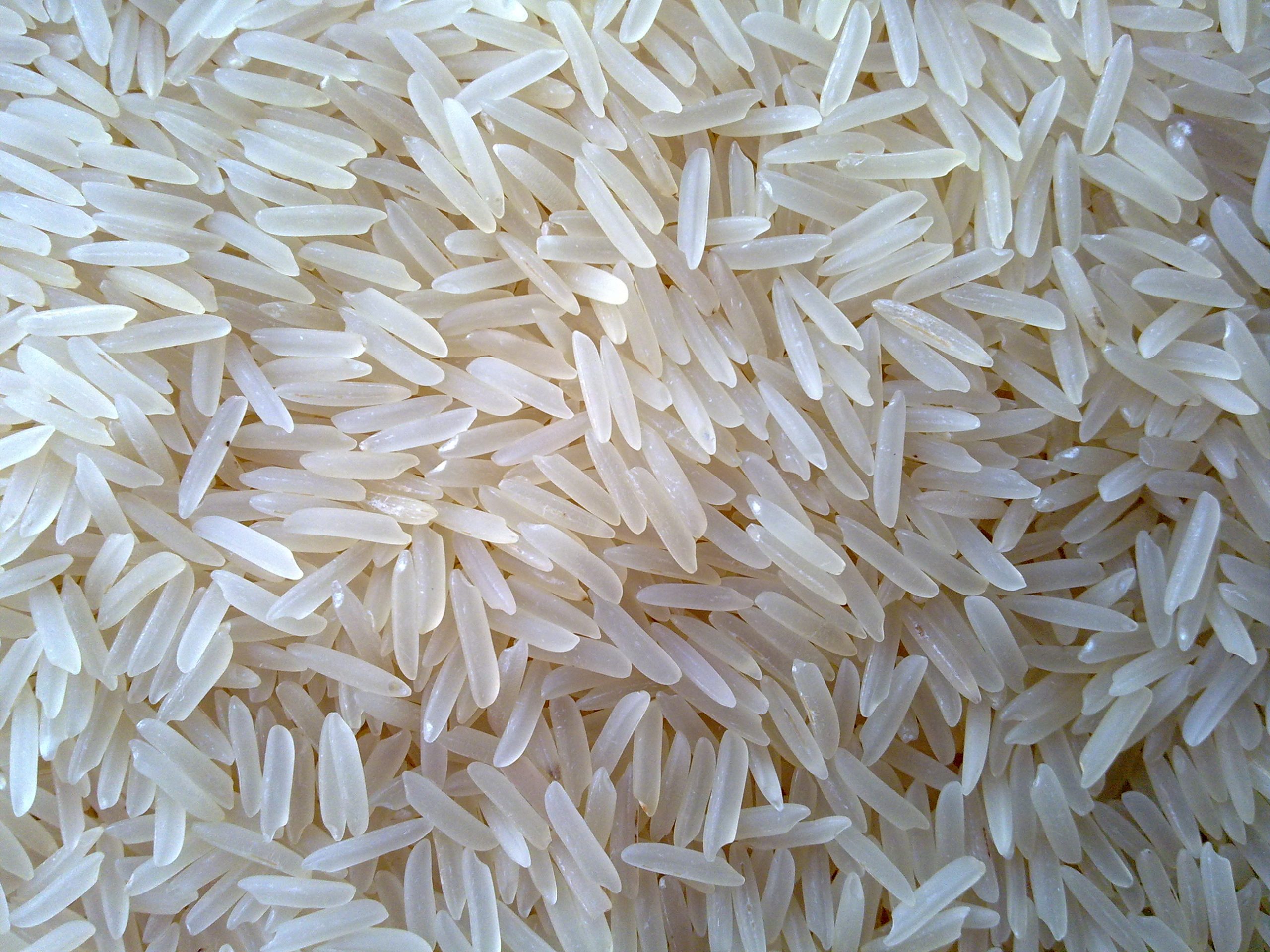 Pusa Basmati 1121